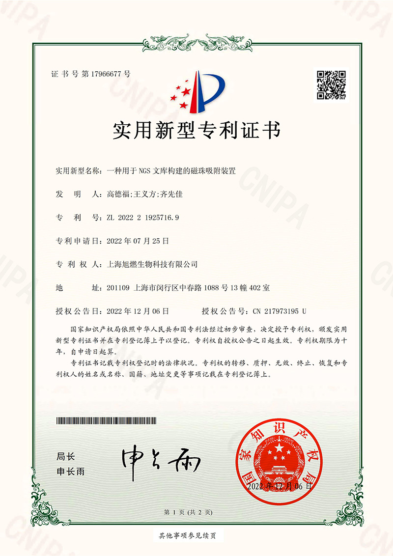 一種用于NGS文庫構建的磁珠吸附裝置-實用新型專利